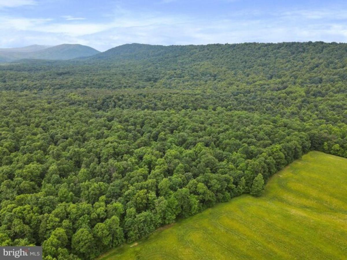 Picture of Residential Land For Sale in Hancock, Maryland, United States