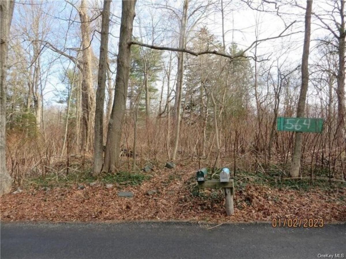 Picture of Residential Land For Sale in Stormville, New York, United States