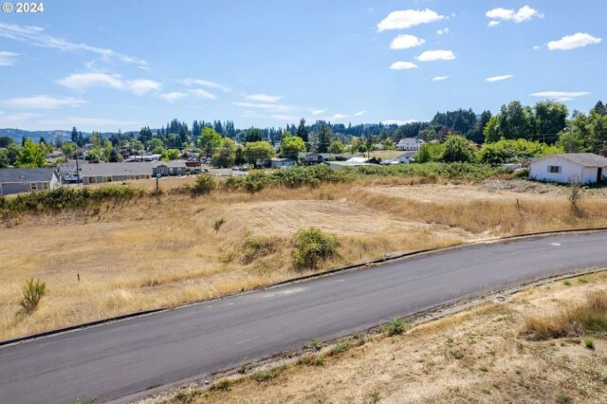 Picture of Residential Land For Sale in Yoncalla, Oregon, United States