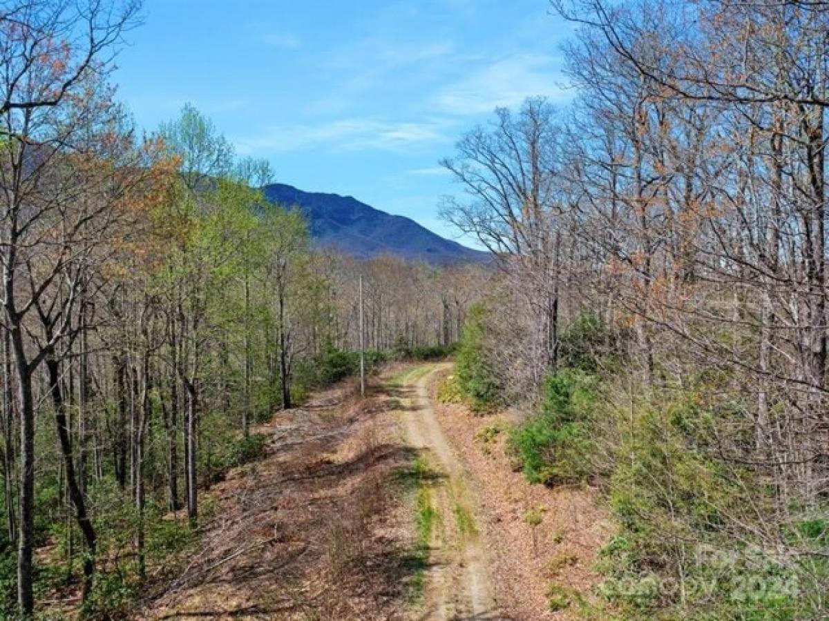 Picture of Residential Land For Sale in Burnsville, North Carolina, United States