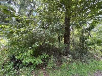 Residential Land For Sale in Lamont, Florida