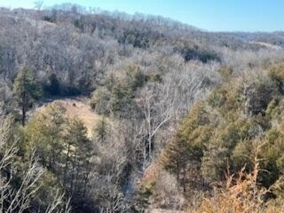 Picture of Residential Land For Sale in Branson, Missouri, United States