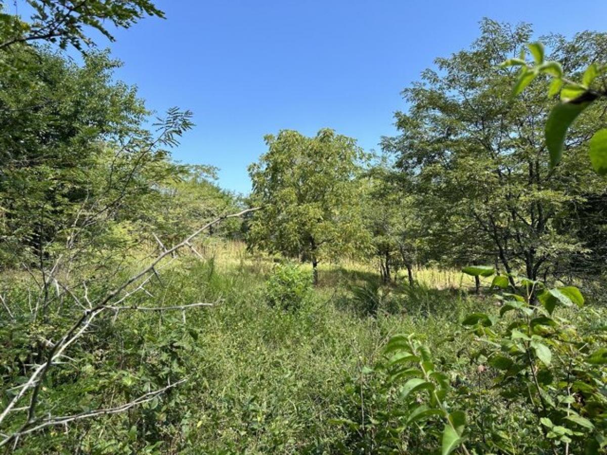 Picture of Residential Land For Sale in Ozark, Missouri, United States