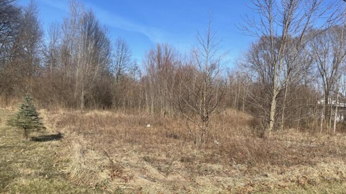 Picture of Residential Land For Sale in Lake Station, Indiana, United States