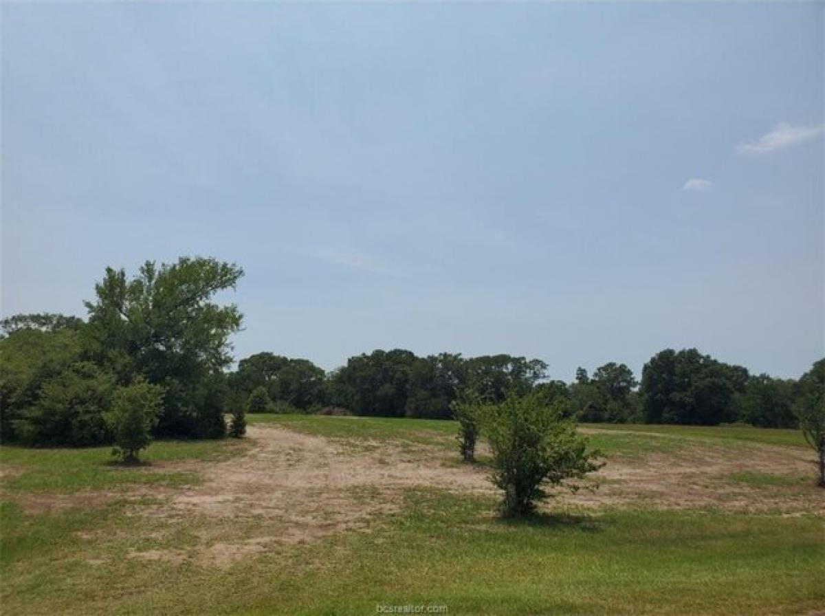 Picture of Residential Land For Sale in Iola, Texas, United States