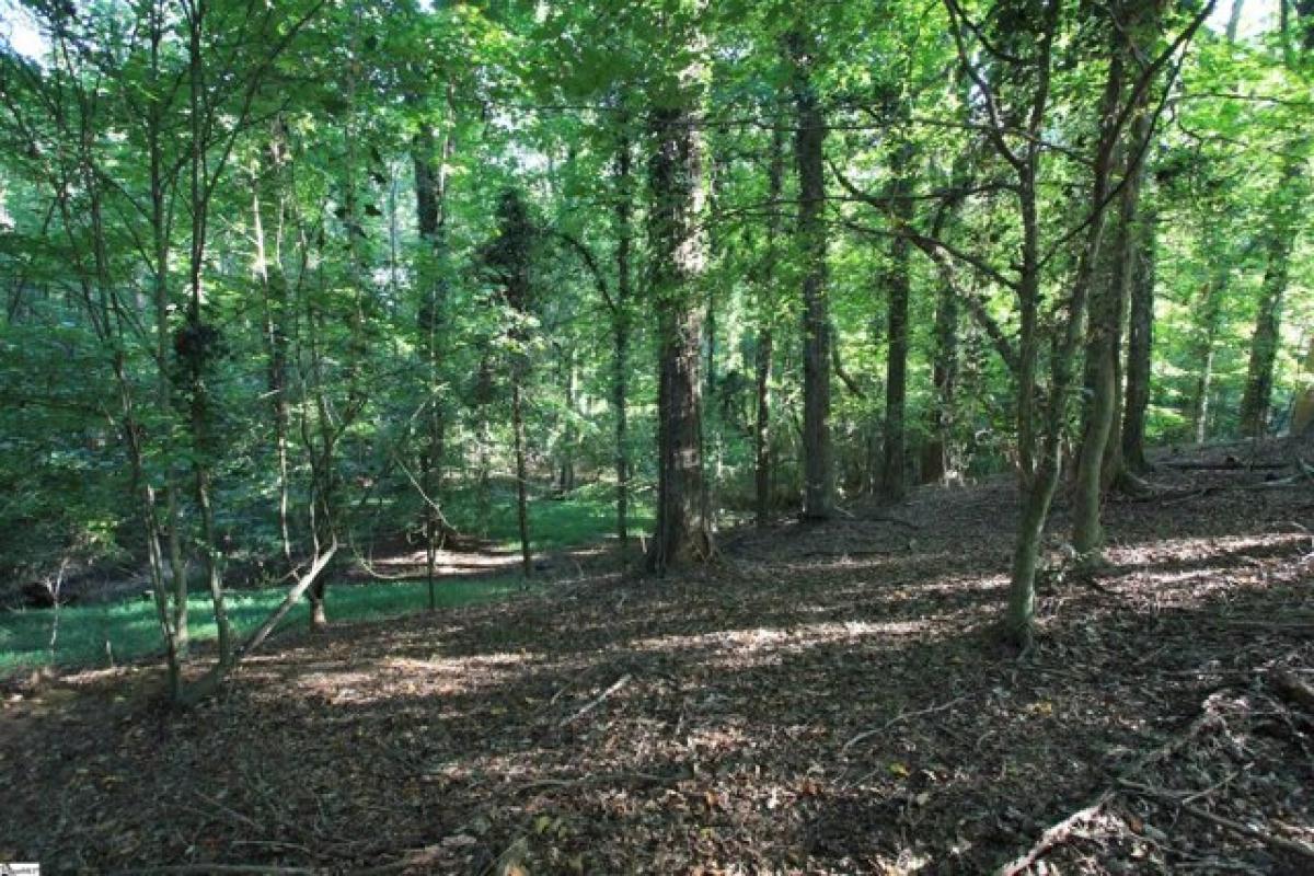 Picture of Residential Land For Sale in Woodruff, South Carolina, United States