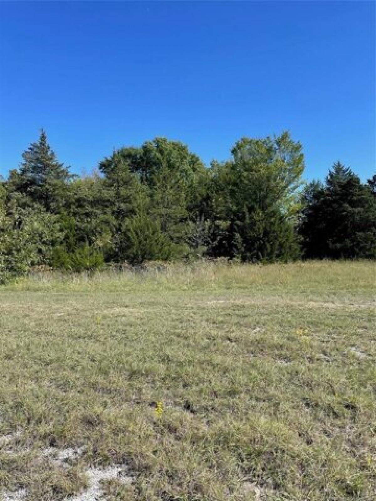 Picture of Residential Land For Rent in Burneyville, Oklahoma, United States