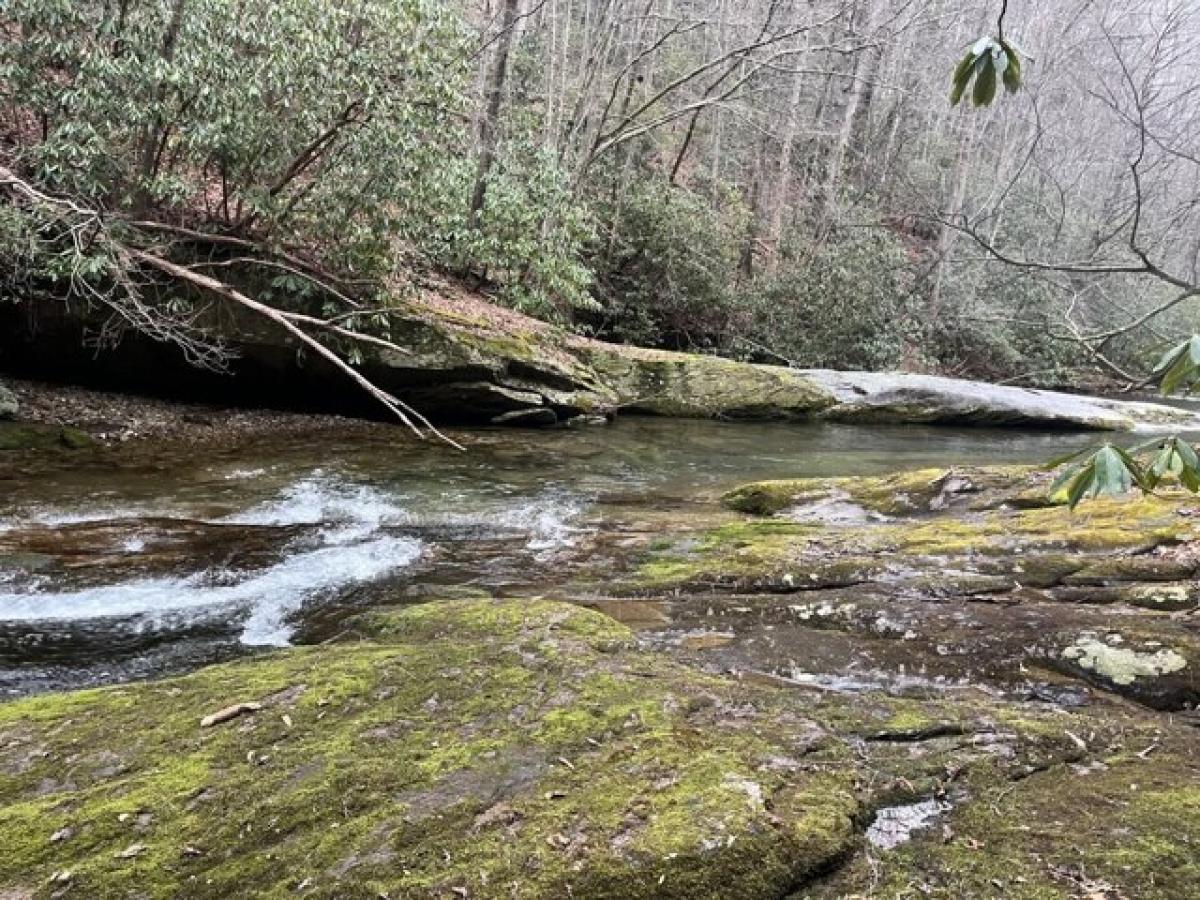 Picture of Residential Land For Sale in Deep Gap, North Carolina, United States