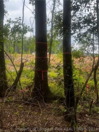 Residential Land For Sale in Wade, North Carolina