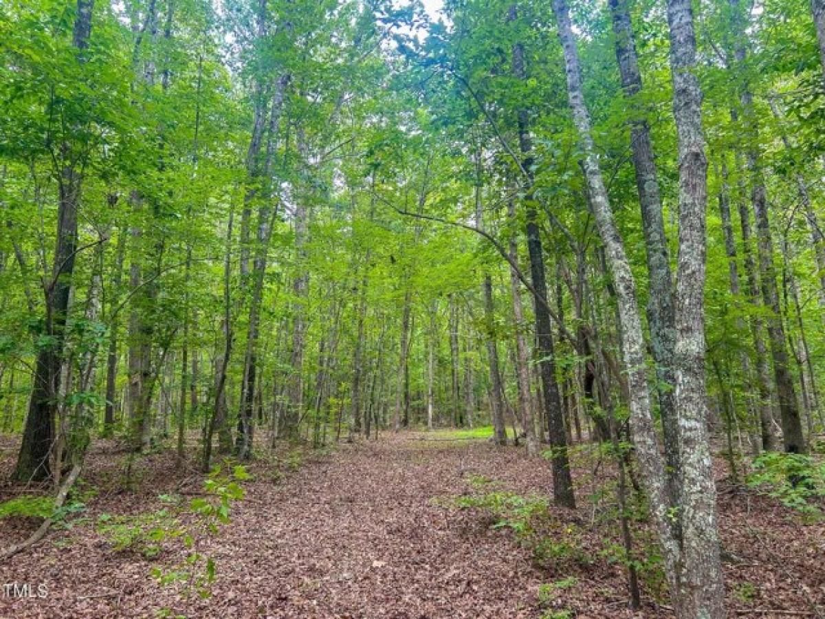 Picture of Residential Land For Sale in Oxford, North Carolina, United States