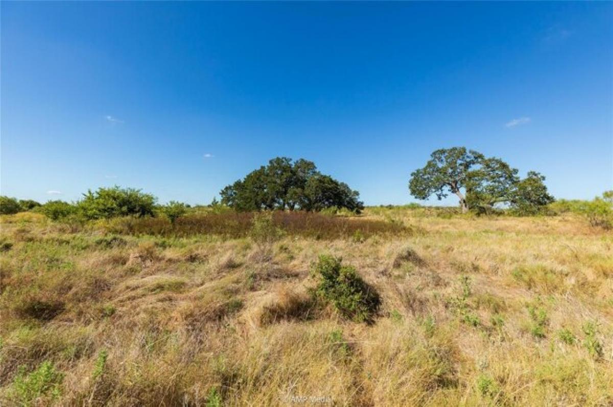 Picture of Residential Land For Sale in Graham, Texas, United States