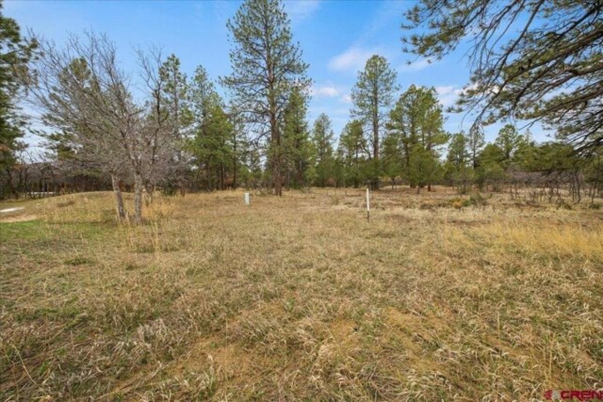 Picture of Residential Land For Sale in Ridgway, Colorado, United States