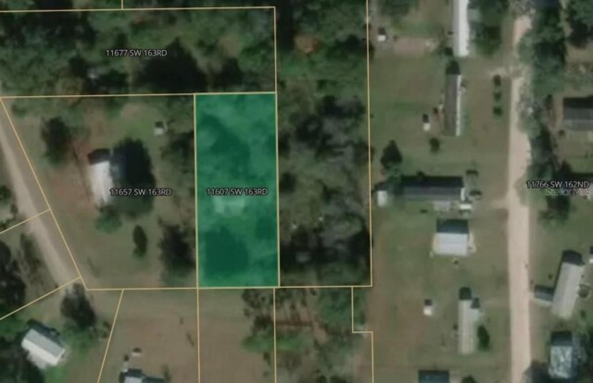 Picture of Residential Land For Sale in Brooker, Florida, United States