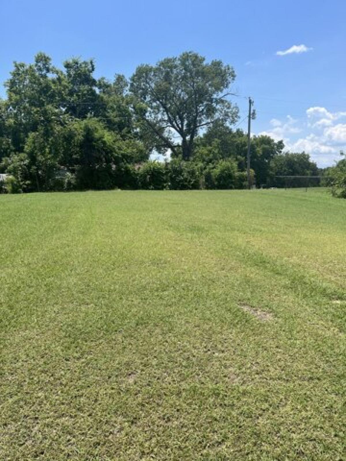 Picture of Residential Land For Sale in Lone Oak, Texas, United States