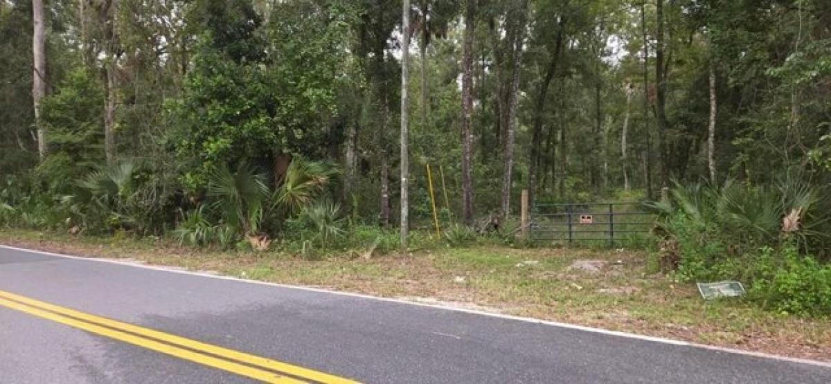 Picture of Residential Land For Sale in Old Town, Florida, United States