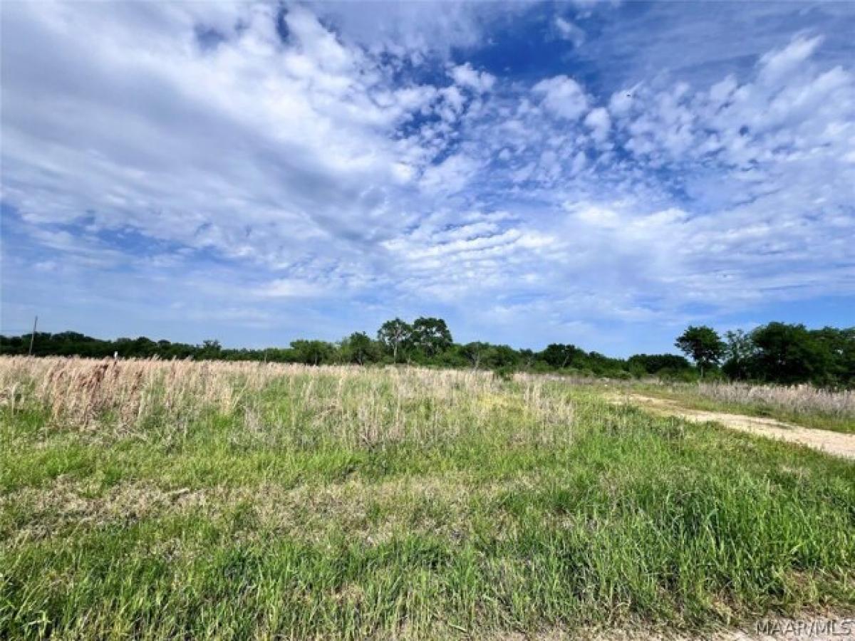 Picture of Residential Land For Sale in Pike Road, Alabama, United States