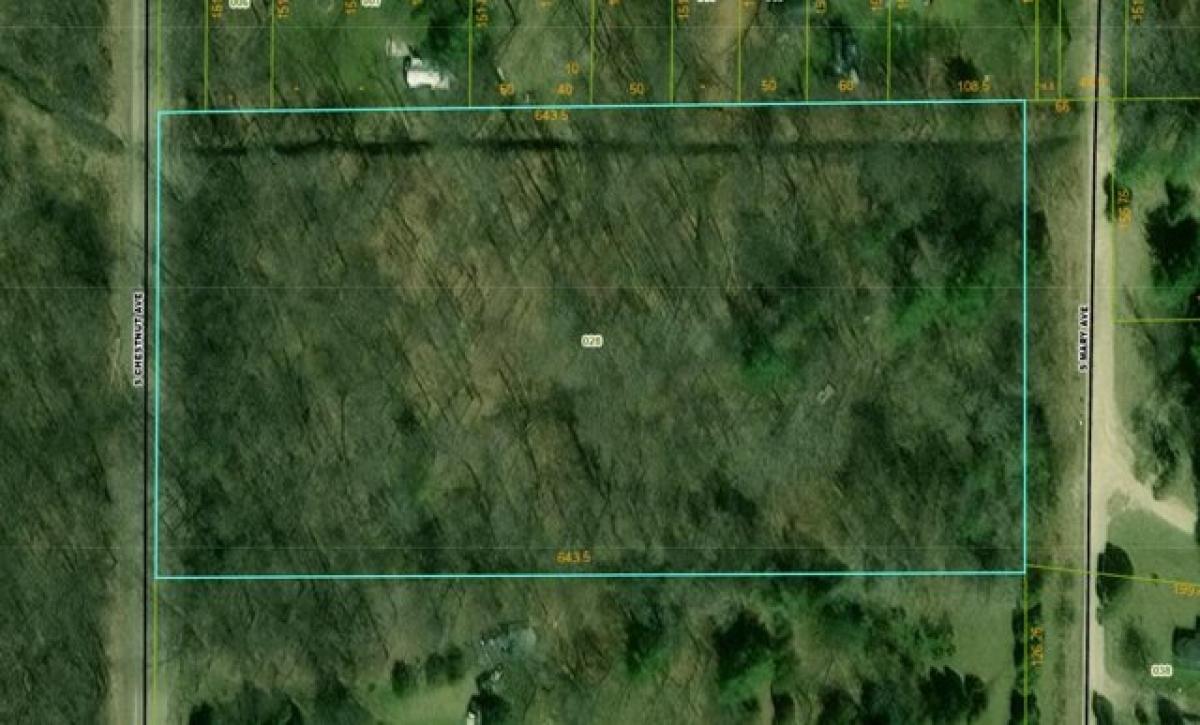 Picture of Residential Land For Sale in Newaygo, Michigan, United States