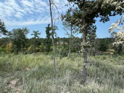 Residential Land For Sale in Livingston, Texas