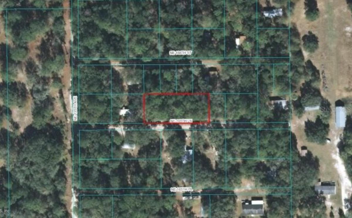 Picture of Residential Land For Sale in Fort Mccoy, Florida, United States