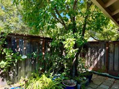 Home For Sale in Petaluma, California