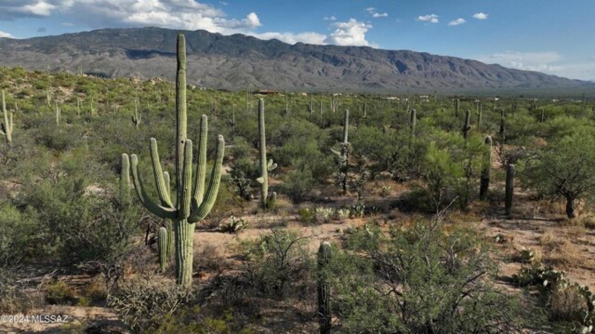 Picture of Residential Land For Sale in Tucson, Arizona, United States