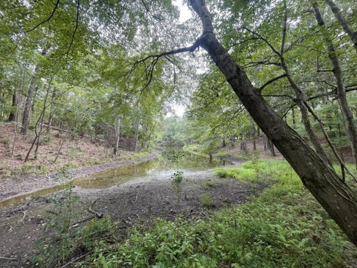 Picture of Home For Sale in Saltillo, Mississippi, United States