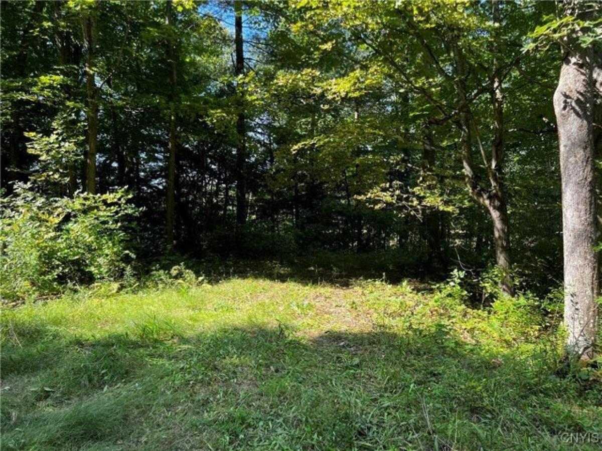 Picture of Residential Land For Sale in Chaumont, New York, United States