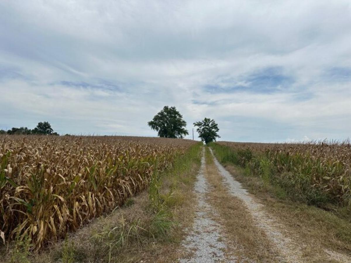 Picture of Residential Land For Sale in Columbia, Kentucky, United States