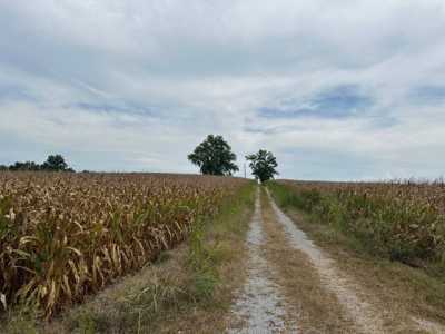 Residential Land For Sale in Columbia, Kentucky