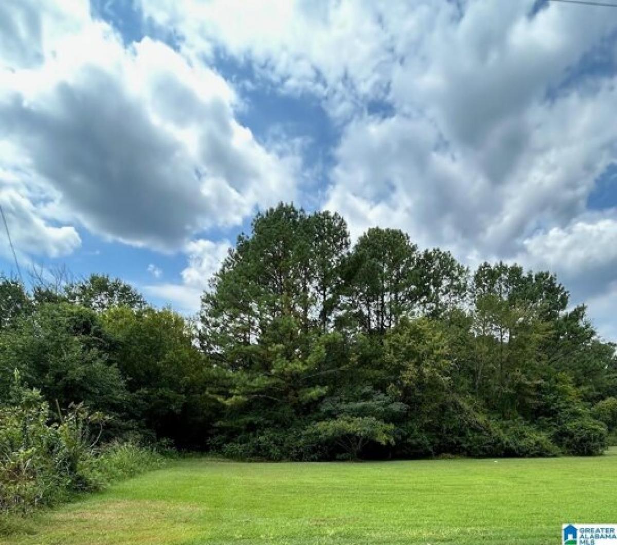 Picture of Residential Land For Sale in Anniston, Alabama, United States