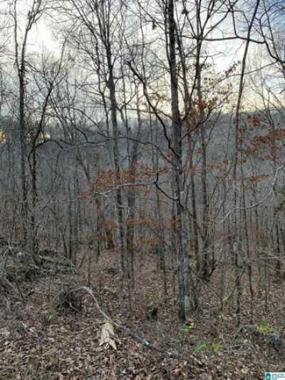 Residential Land For Sale in Warrior, Alabama