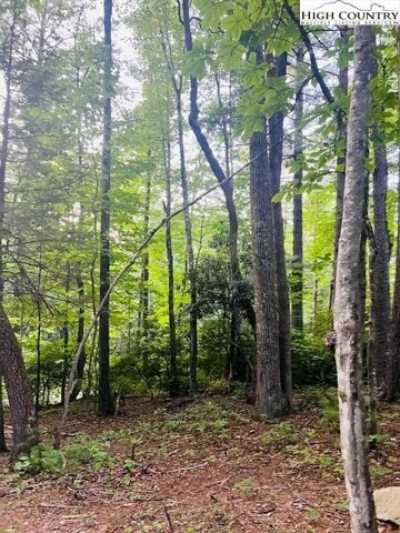 Residential Land For Sale in Purlear, North Carolina