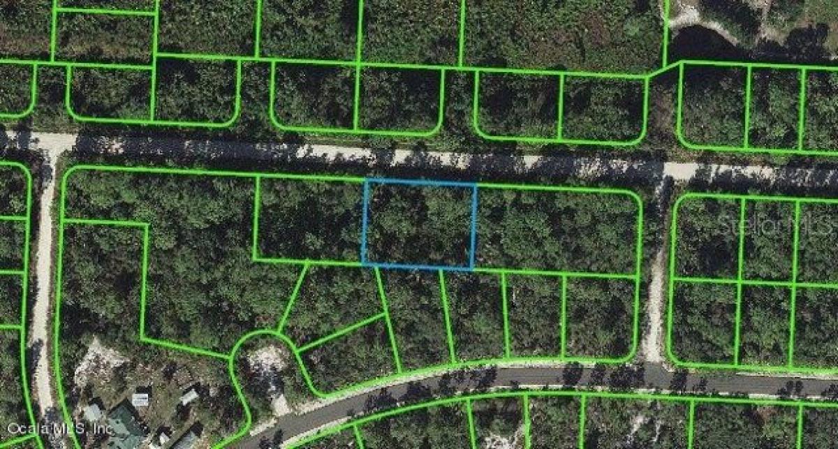 Picture of Residential Land For Sale in Lake Placid, Florida, United States