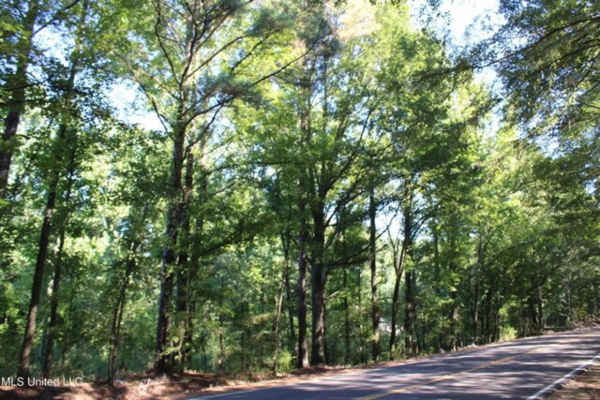 Picture of Residential Land For Sale in Sarah, Mississippi, United States