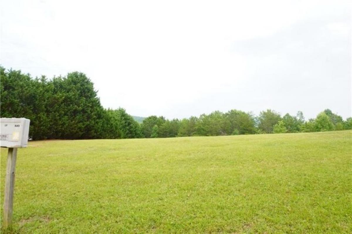 Picture of Residential Land For Sale in Mineral Bluff, Georgia, United States