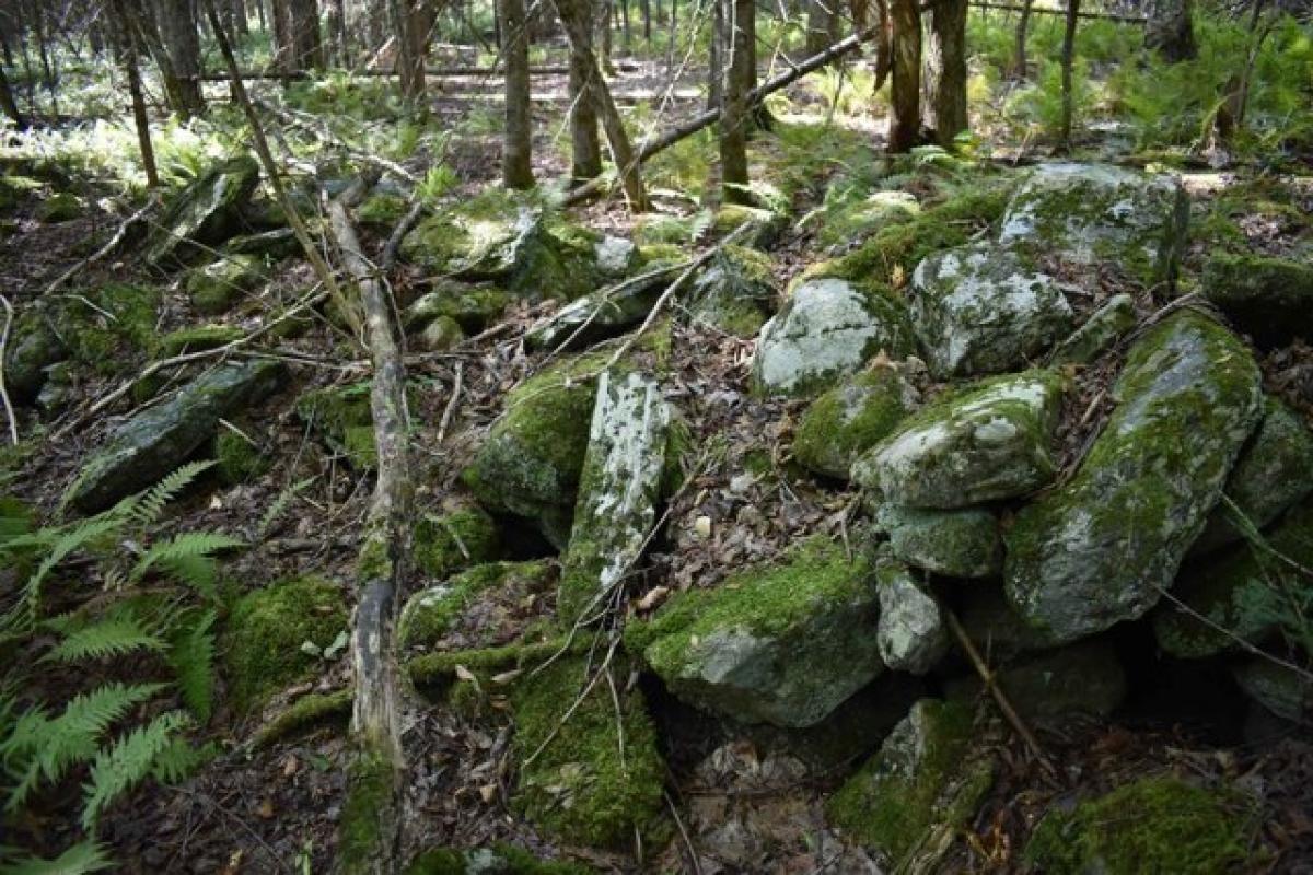 Picture of Residential Land For Sale in Lowell, Vermont, United States