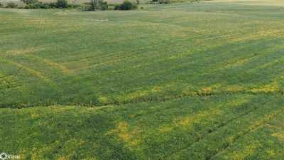 Residential Land For Sale in Clio, Iowa