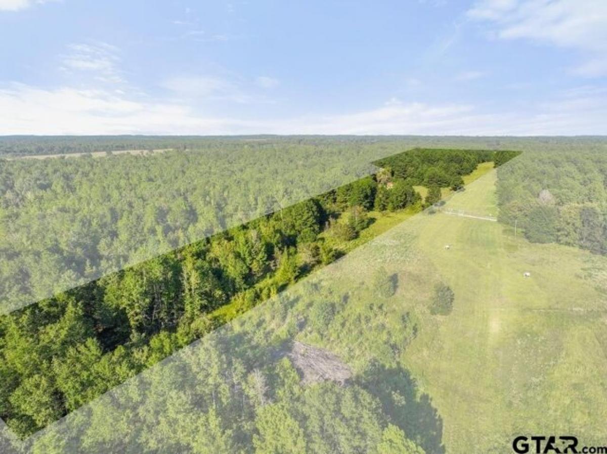 Picture of Residential Land For Sale in Troup, Texas, United States