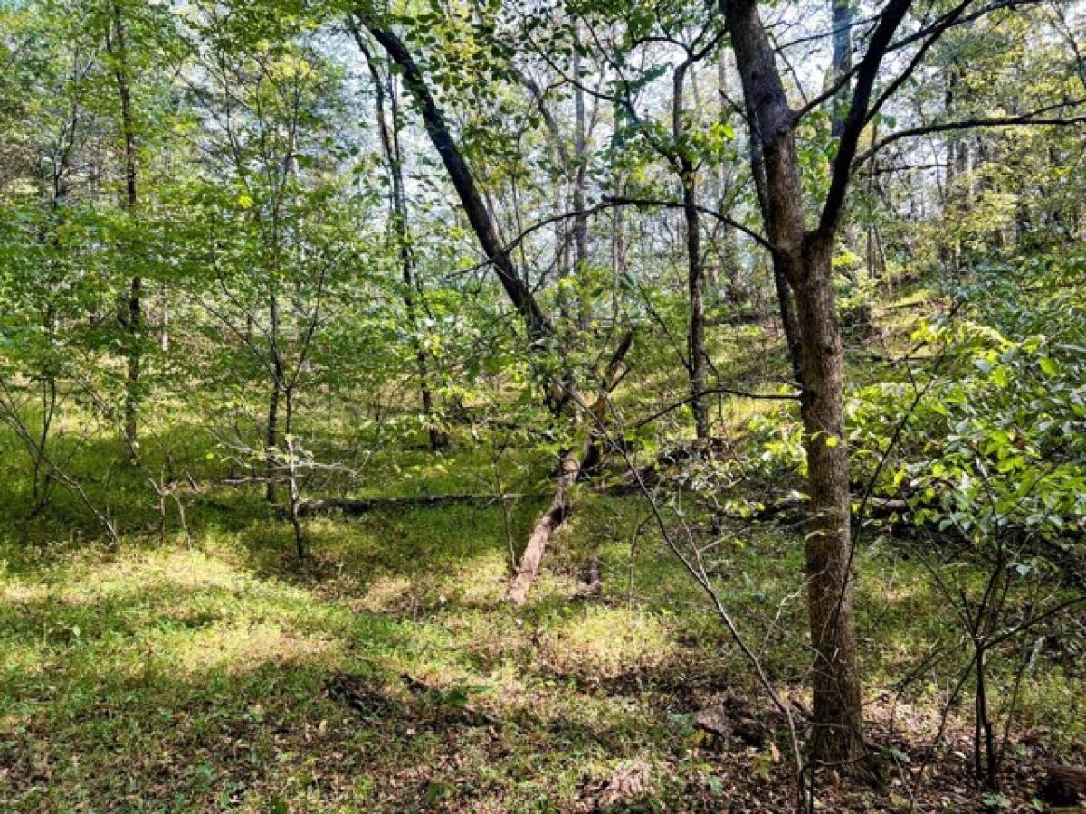 Picture of Residential Land For Sale in Parrottsville, Tennessee, United States