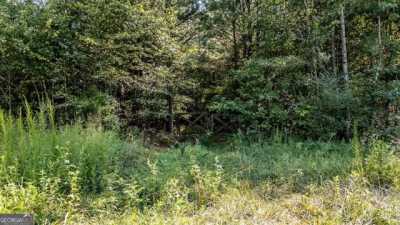 Residential Land For Sale in Lafayette, Georgia