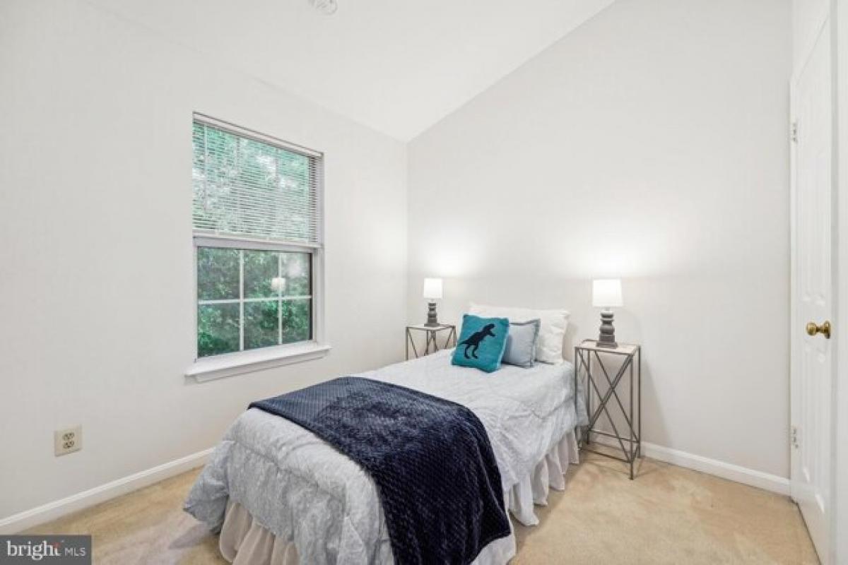 Picture of Home For Rent in Alexandria, Virginia, United States