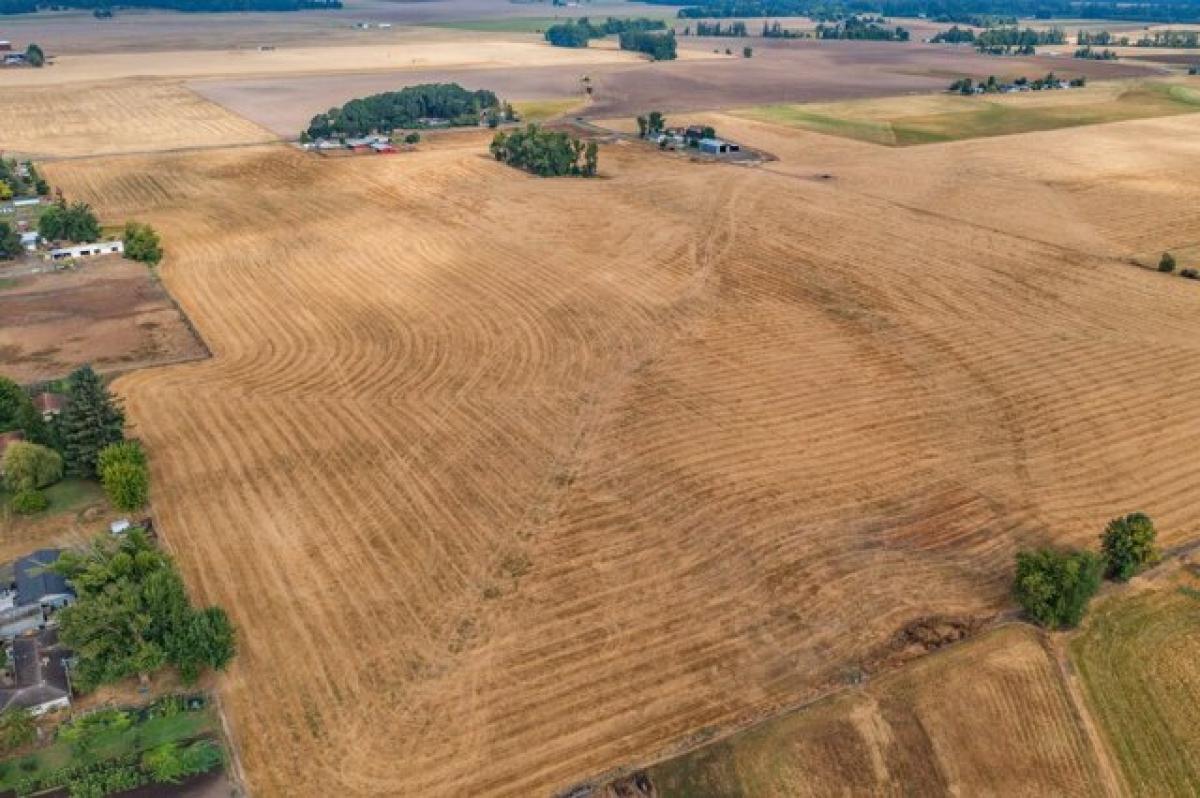 Picture of Residential Land For Sale in Albany, Oregon, United States