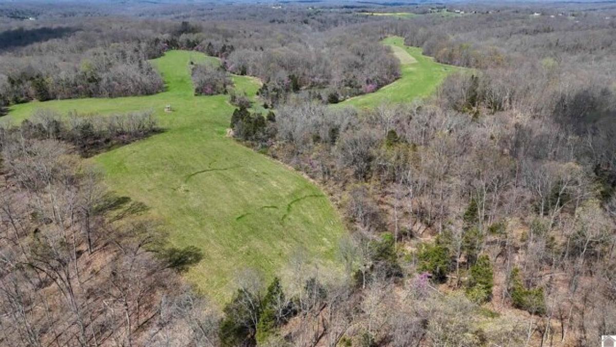 Picture of Residential Land For Sale in Frankfort, Kentucky, United States