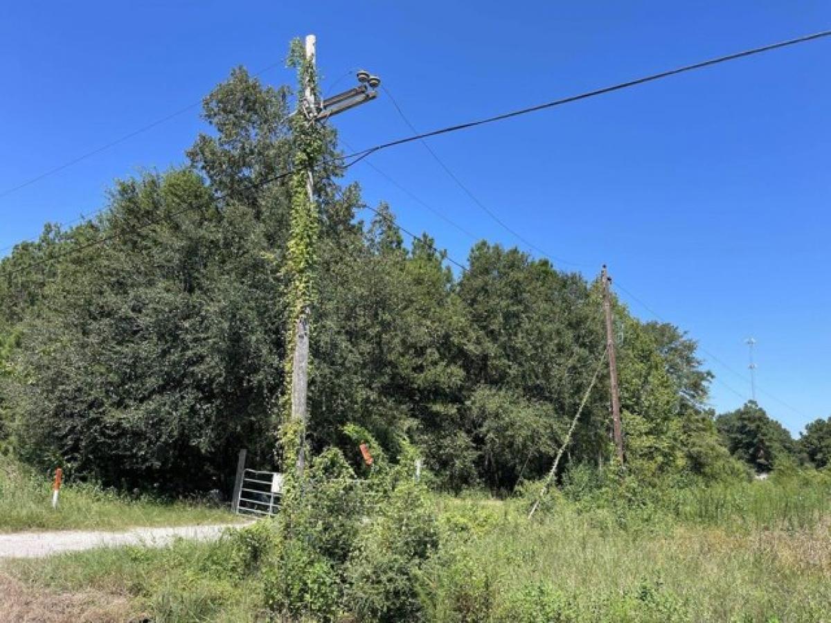 Picture of Residential Land For Sale in Orange, Texas, United States