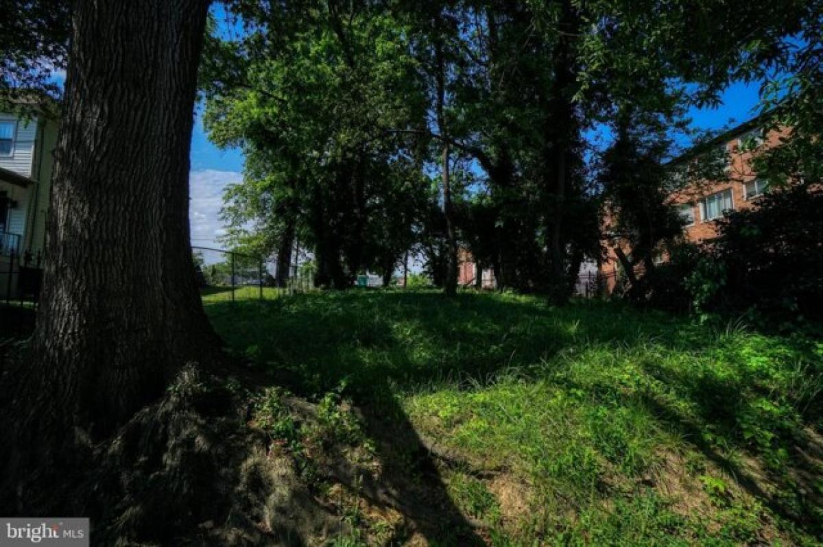 Picture of Residential Land For Sale in Washington, District of Columbia, United States