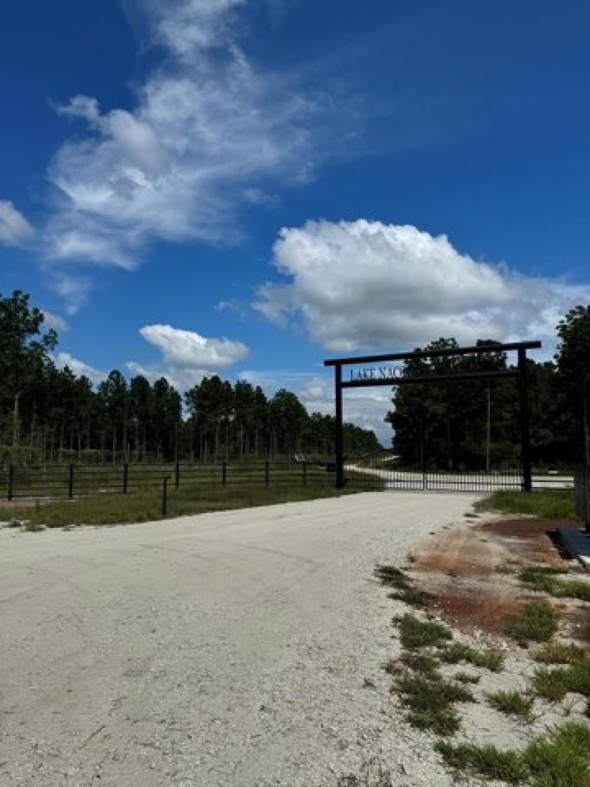 Picture of Residential Land For Sale in Nacogdoches, Texas, United States