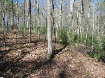 Residential Land For Sale in Cleveland, South Carolina