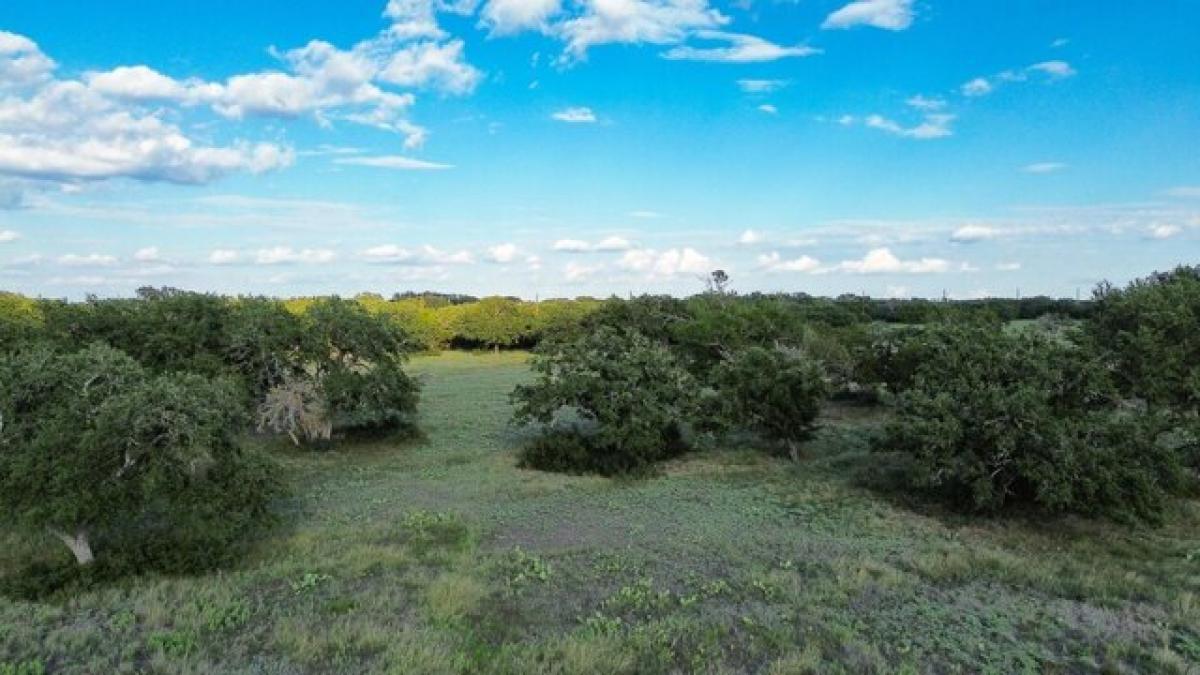 Picture of Residential Land For Sale in Lampasas, Texas, United States