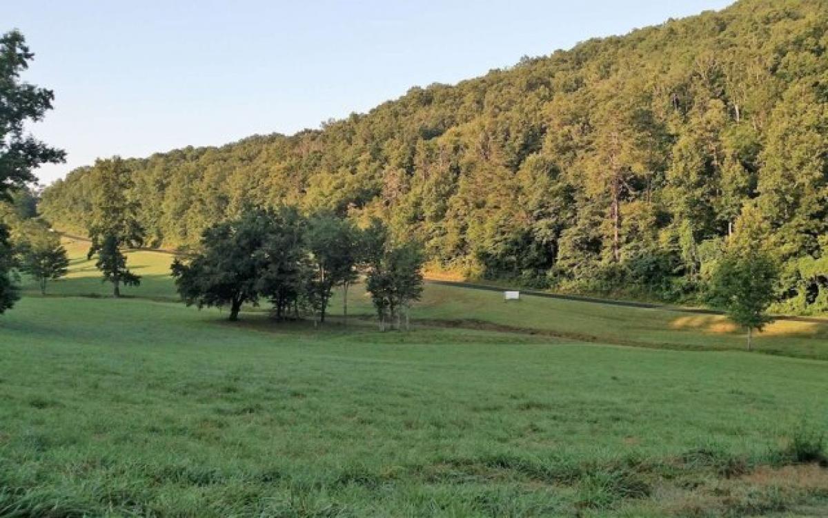 Picture of Residential Land For Sale in Hayesville, North Carolina, United States