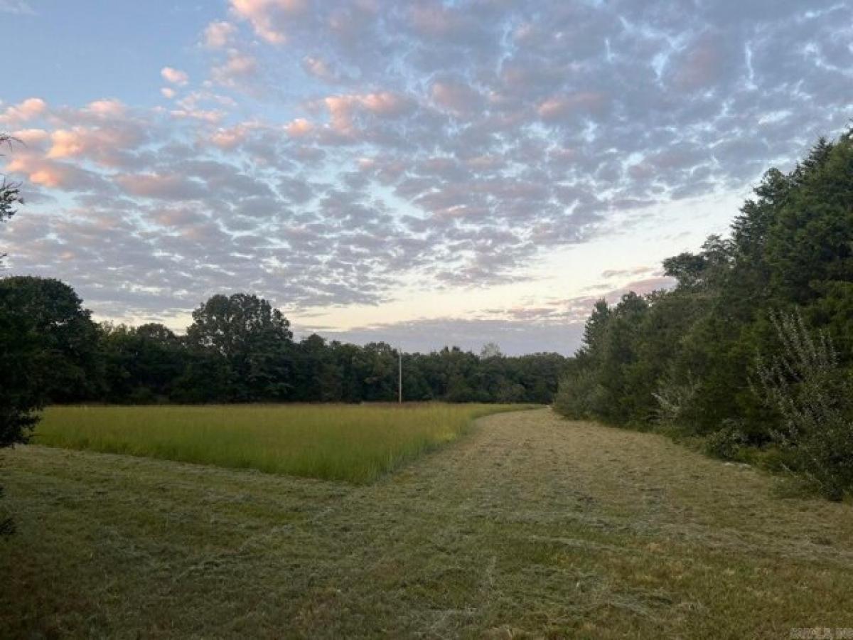 Picture of Residential Land For Sale in Cave City, Arkansas, United States